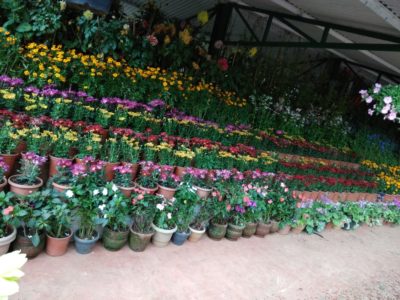 IMG-20171107-WA0051 IMG-20171107-WA0051
